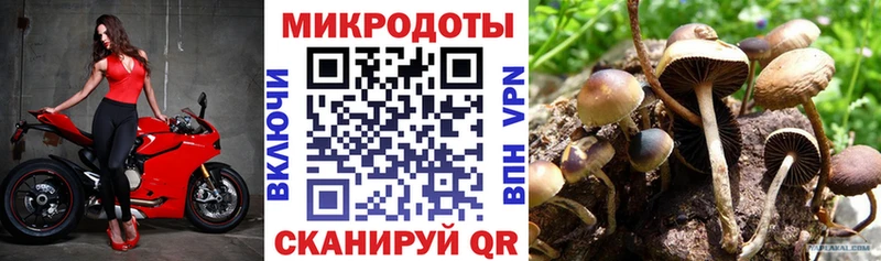 Купить  Баймак  Галлюциногенные грибы ЛСД 